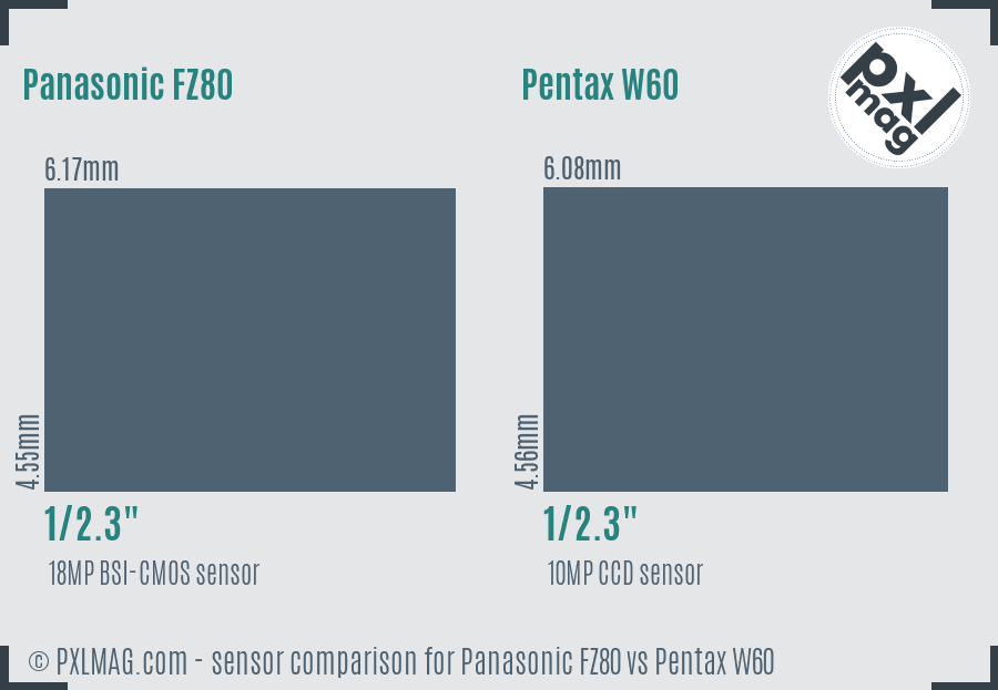 Panasonic FZ80 vs Pentax W60 sensor size comparison