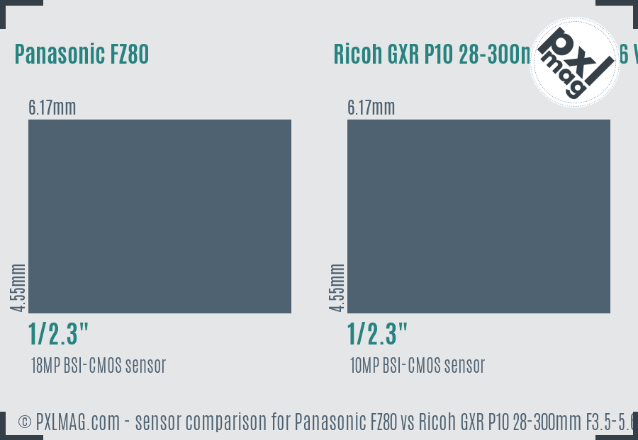 Panasonic FZ80 vs Ricoh GXR P10 28-300mm F3.5-5.6 VC sensor size comparison