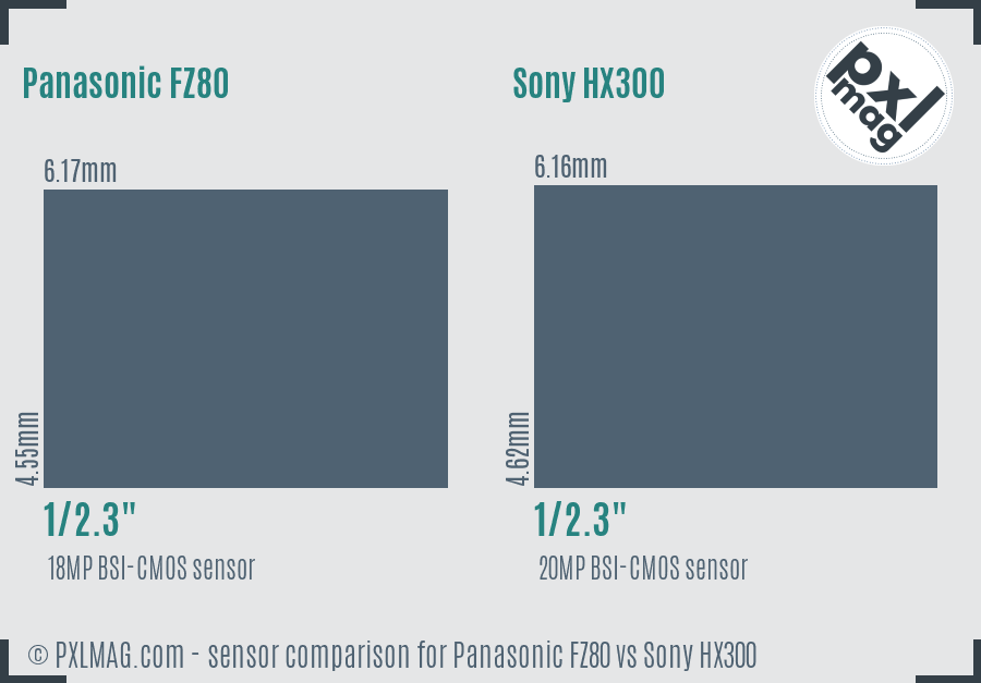 Panasonic FZ80 vs Sony HX300 sensor size comparison