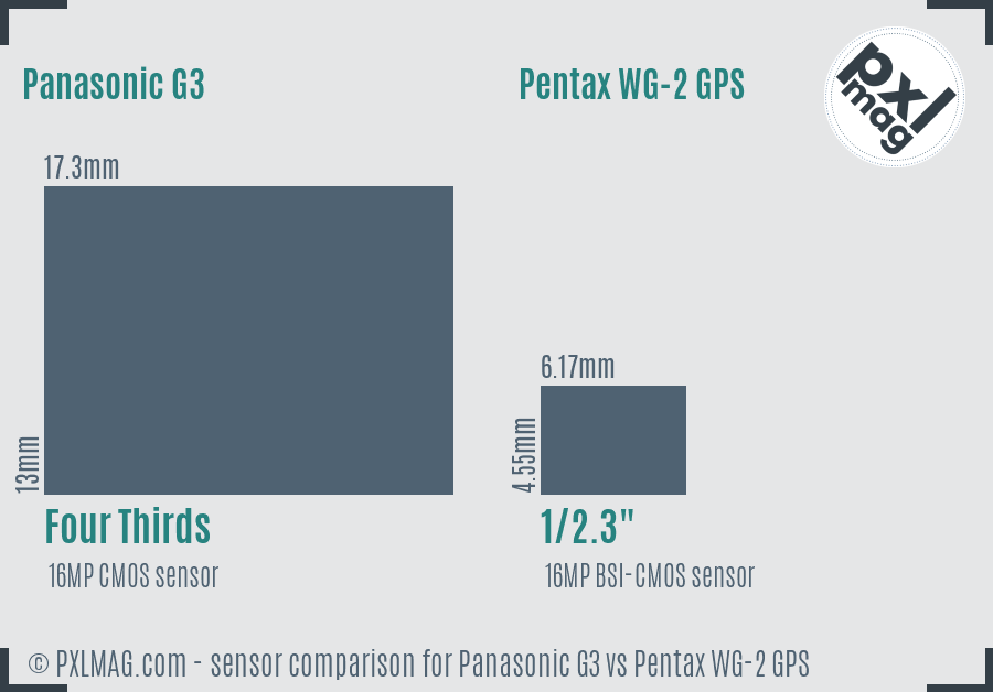 Panasonic G3 vs Pentax WG-2 GPS sensor size comparison