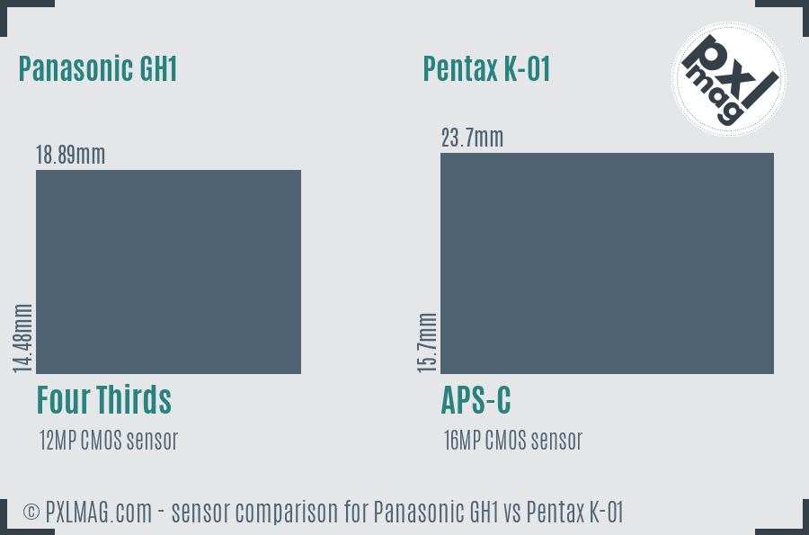 Panasonic GH1 vs Pentax K-01 sensor size comparison