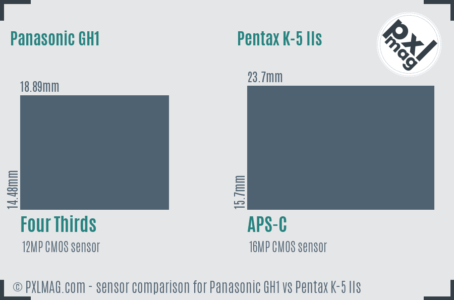 Panasonic GH1 vs Pentax K-5 IIs sensor size comparison