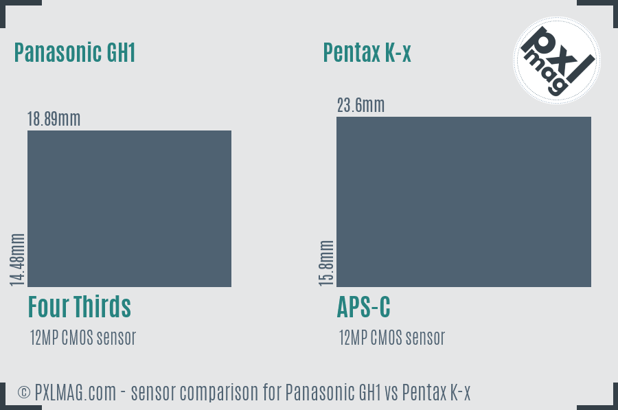 Panasonic GH1 vs Pentax K-x sensor size comparison