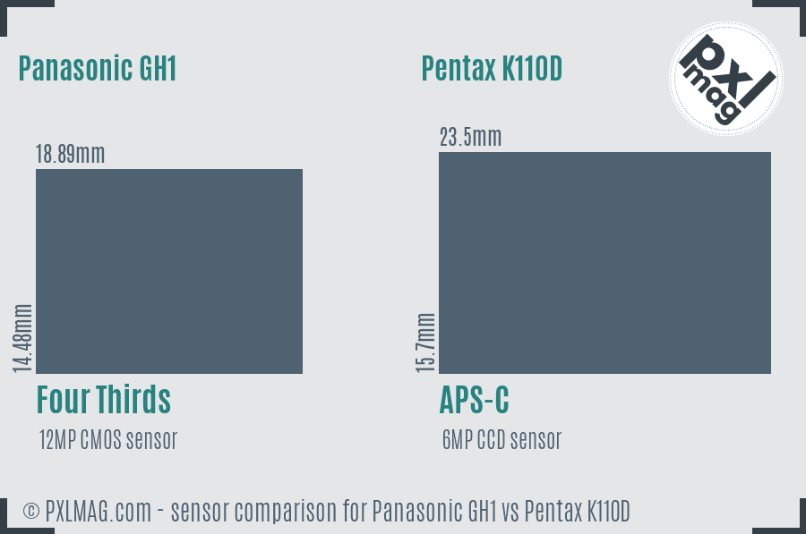 Panasonic GH1 vs Pentax K110D sensor size comparison