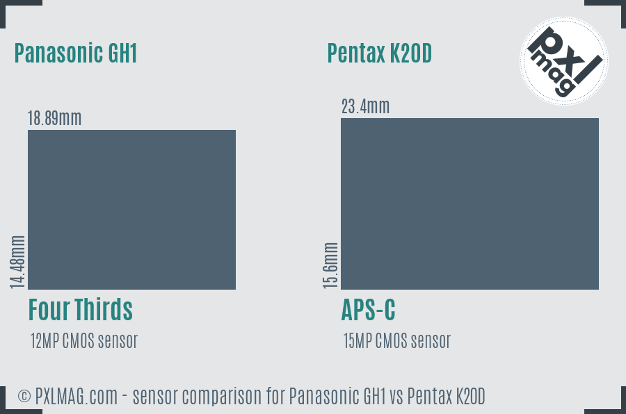 Panasonic GH1 vs Pentax K20D sensor size comparison