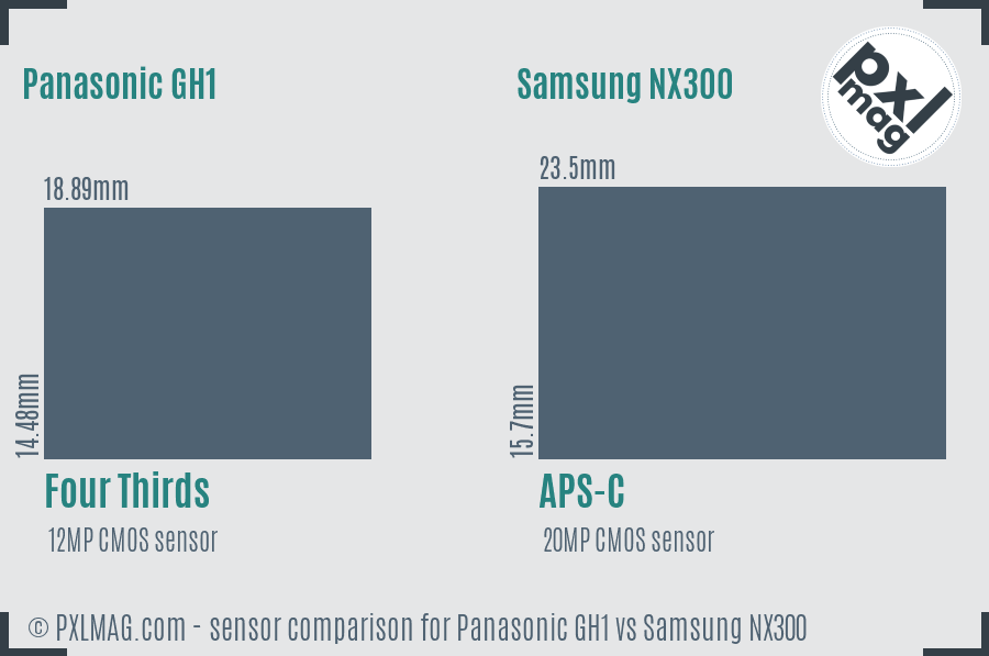 Panasonic GH1 vs Samsung NX300 sensor size comparison