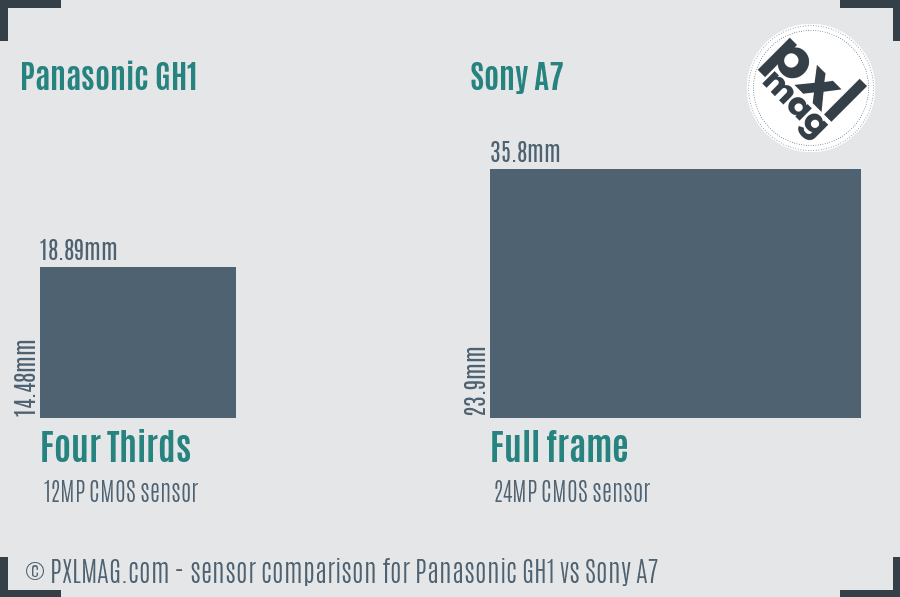 Panasonic GH1 vs Sony A7 sensor size comparison