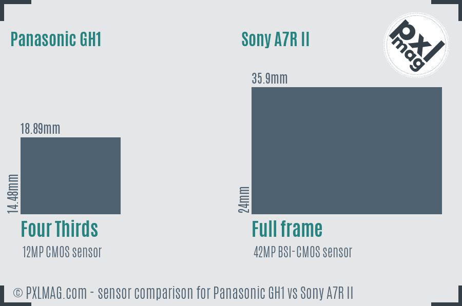 Panasonic GH1 vs Sony A7R II sensor size comparison