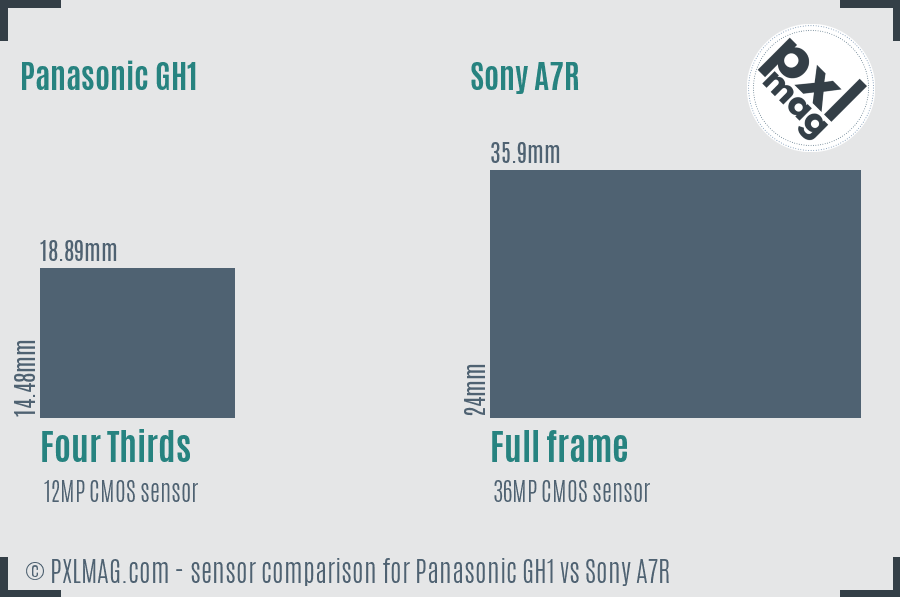 Panasonic GH1 vs Sony A7R sensor size comparison