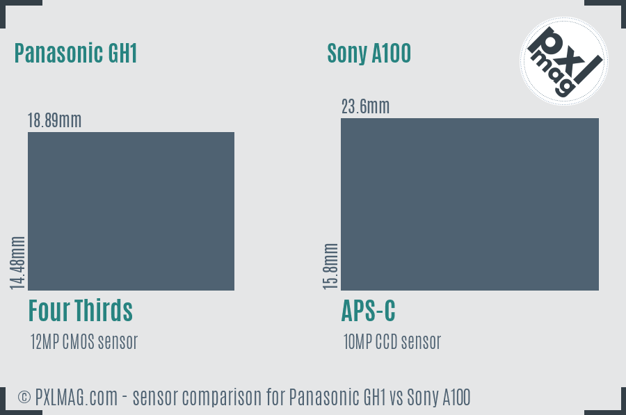 Panasonic GH1 vs Sony A100 sensor size comparison