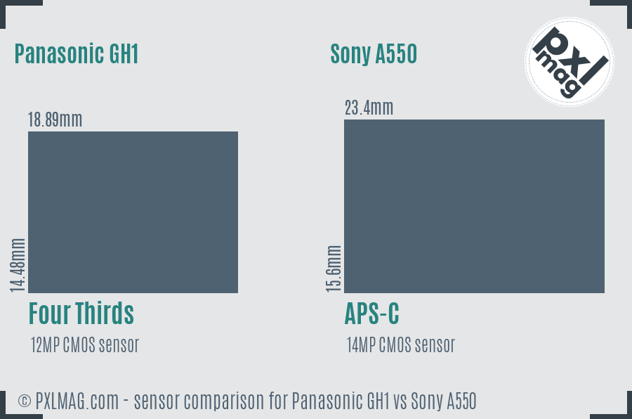Panasonic GH1 vs Sony A550 sensor size comparison