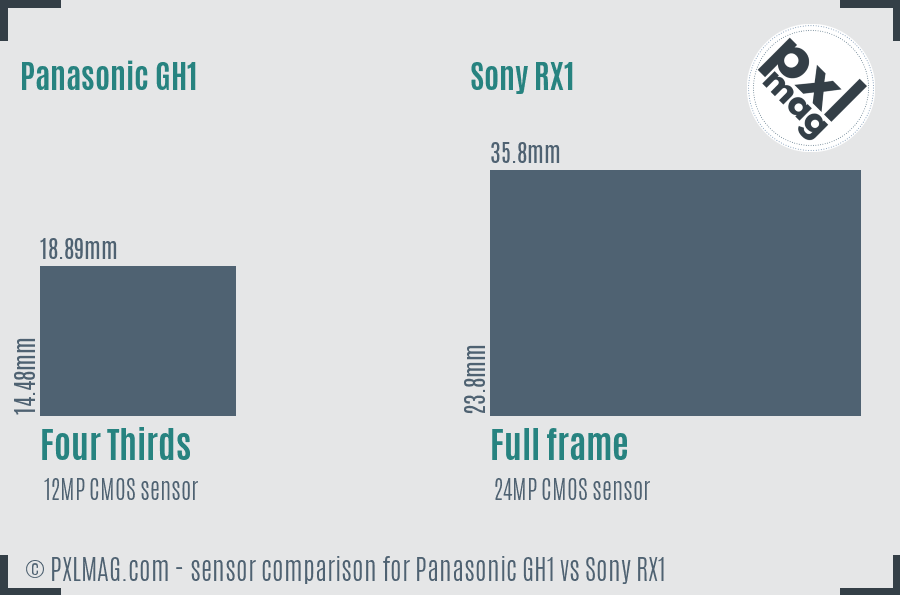 Panasonic GH1 vs Sony RX1 sensor size comparison