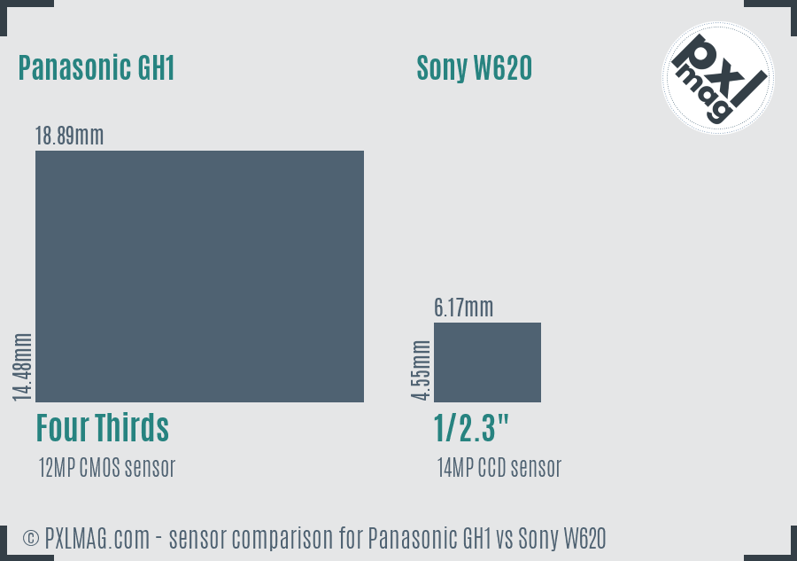 Panasonic GH1 vs Sony W620 sensor size comparison