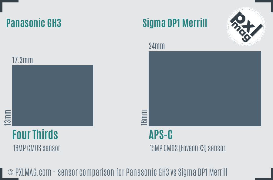Panasonic GH3 vs Sigma DP1 Merrill sensor size comparison