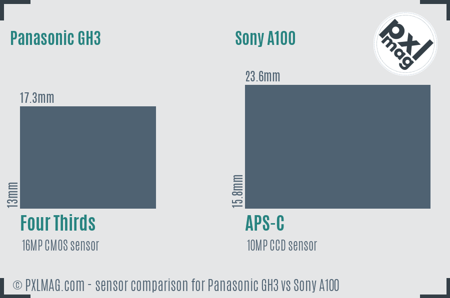 Panasonic GH3 vs Sony A100 sensor size comparison