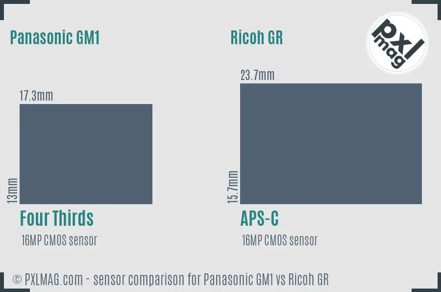 Panasonic GM1 vs Ricoh GR sensor size comparison Panasonic GM1 vs Ricoh GR sensor size comparison
