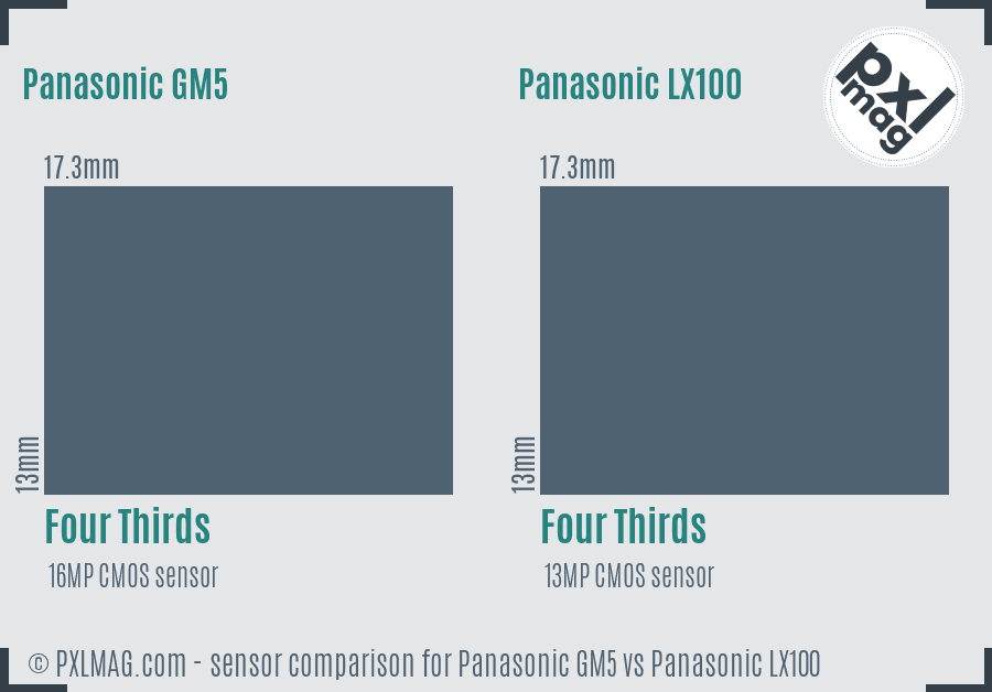 Panasonic GM5 vs Panasonic LX100 sensor size comparison