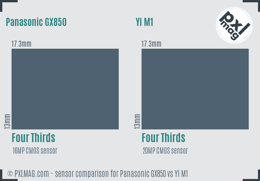 Panasonic GX850 vs YI M1 sensor size comparison