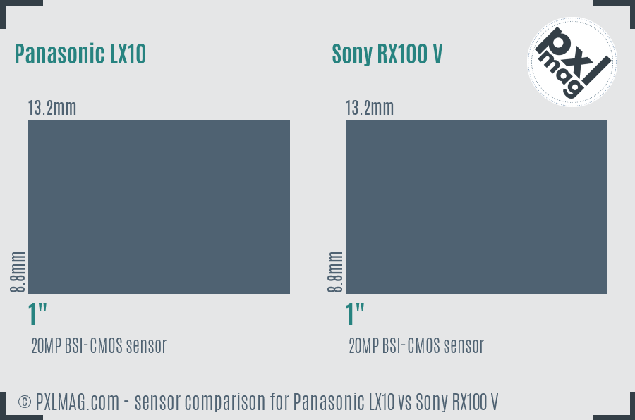 Panasonic LX10 vs Sony RX100 V sensor size comparison