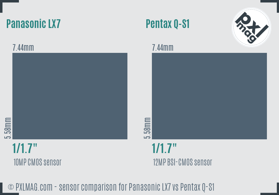 Panasonic LX7 vs Pentax Q-S1 sensor size comparison