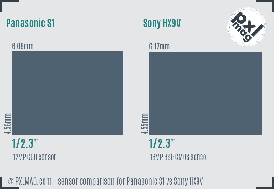 Panasonic S1 vs Sony HX9V sensor size comparison