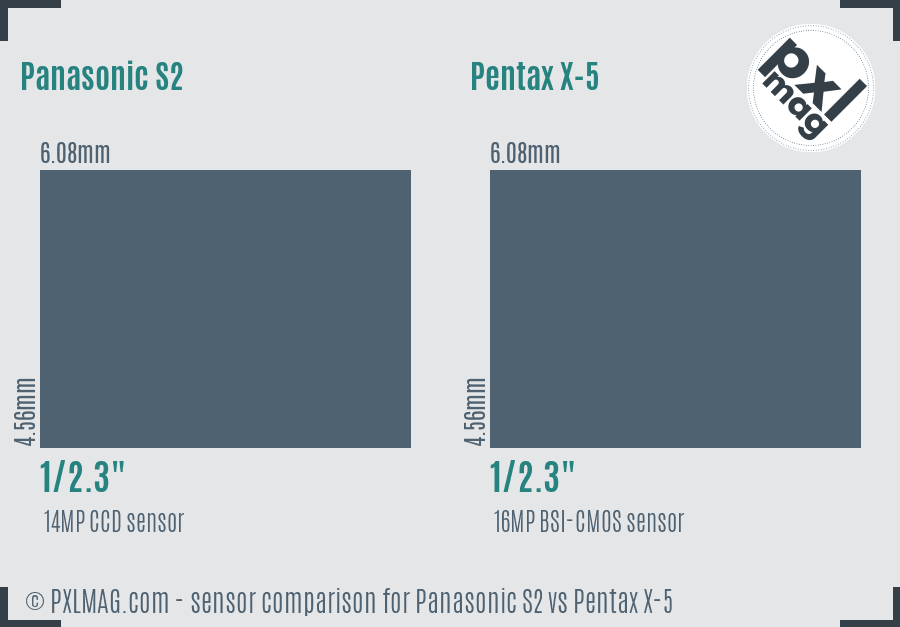 Panasonic S2 vs Pentax X-5 sensor size comparison