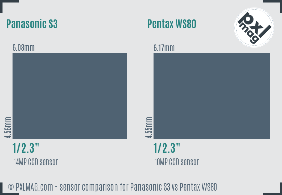 Panasonic S3 vs Pentax WS80 sensor size comparison