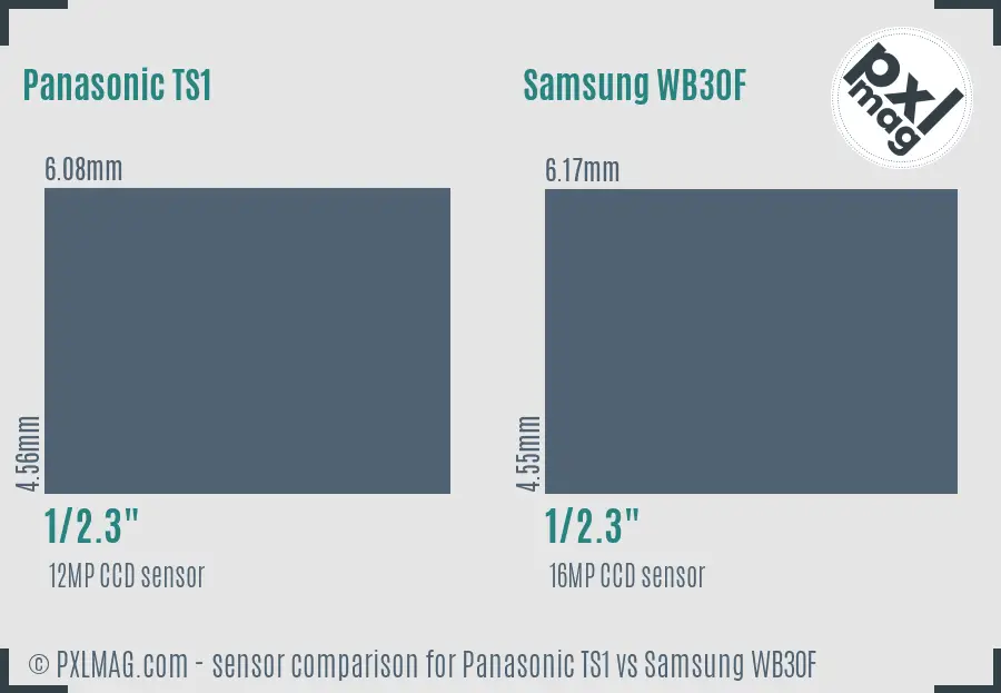 Panasonic TS1 vs Samsung WB30F sensor size comparison