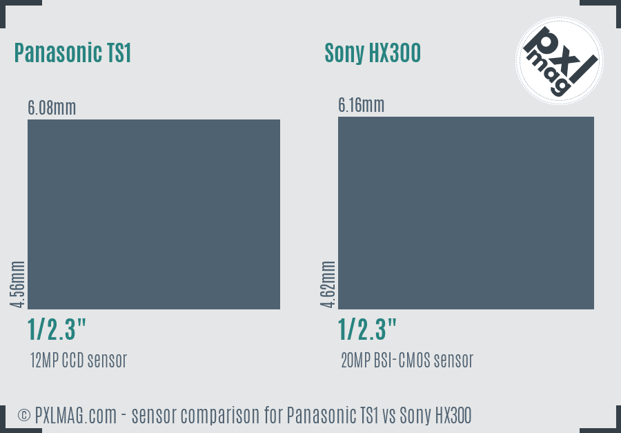 Panasonic TS1 vs Sony HX300 sensor size comparison Panasonic TS1 vs Sony HX300 sensor size comparison