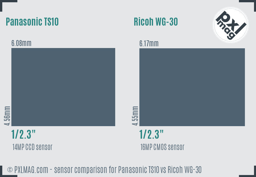 Panasonic TS10 vs Ricoh WG-30 sensor size comparison