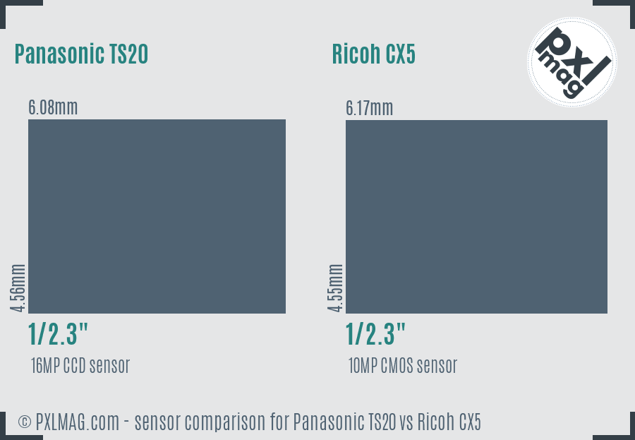 Panasonic TS20 vs Ricoh CX5 sensor size comparison
