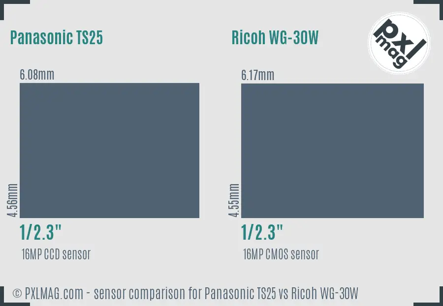 Panasonic TS25 vs Ricoh WG-30W sensor size comparison