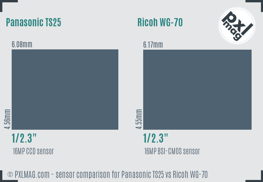 Panasonic TS25 vs Ricoh WG-70 sensor size comparison
