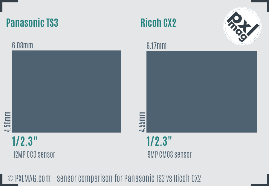 Panasonic TS3 vs Ricoh CX2 sensor size comparison