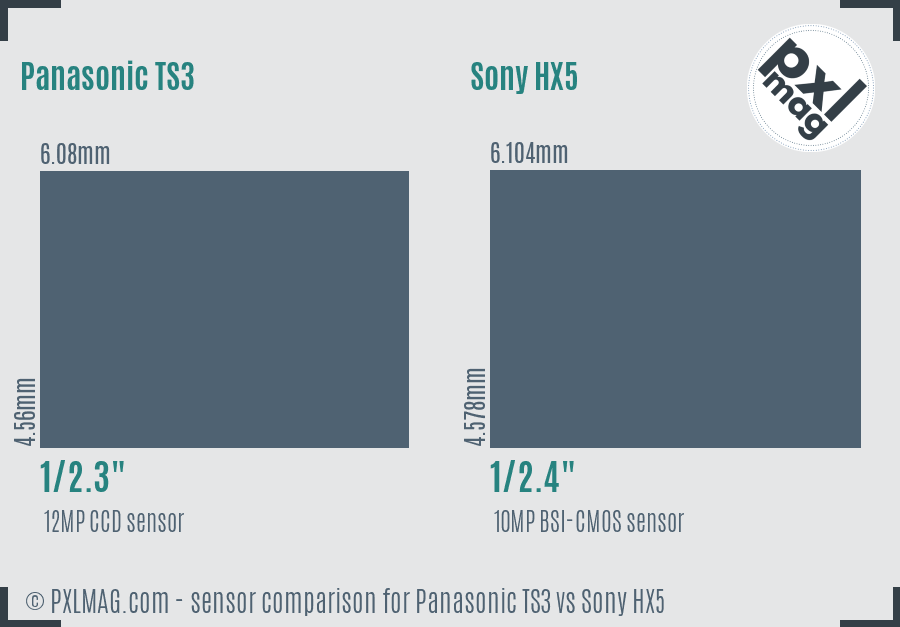 Panasonic TS3 vs Sony HX5 sensor size comparison