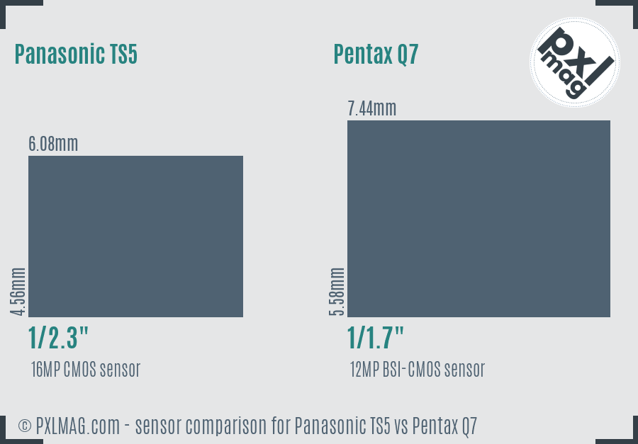 Panasonic TS5 vs Pentax Q7 sensor size comparison
