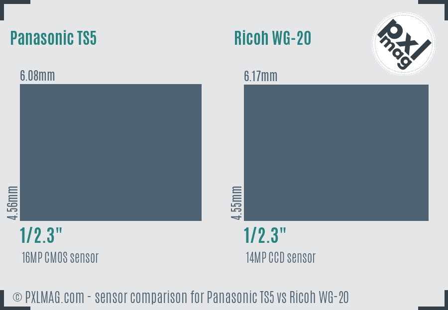 Panasonic TS5 vs Ricoh WG-20 sensor size comparison