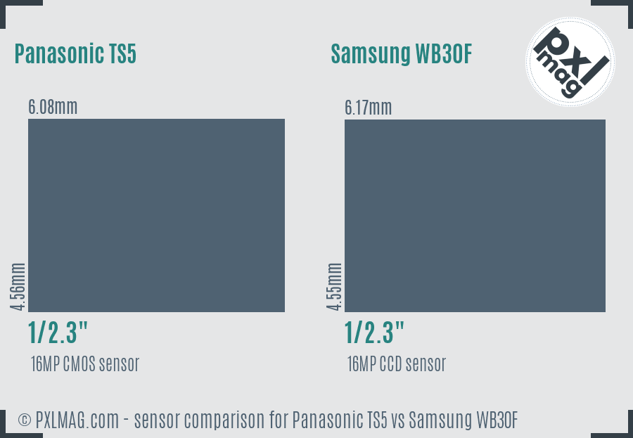 Panasonic TS5 vs Samsung WB30F sensor size comparison