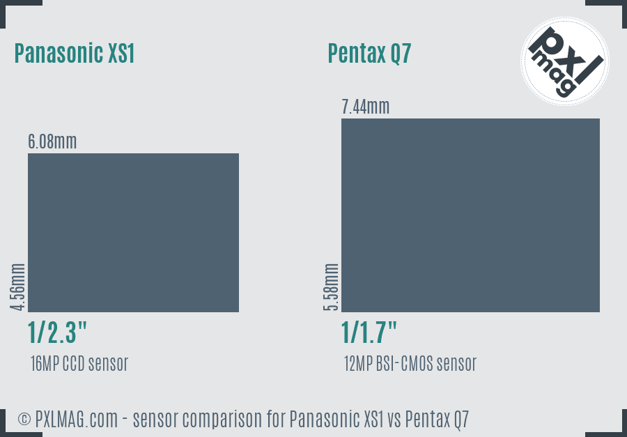 Panasonic XS1 vs Pentax Q7 sensor size comparison