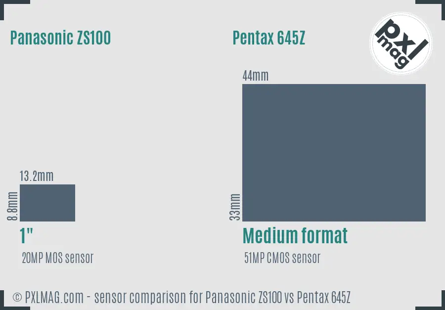 Panasonic ZS100 vs Pentax 645Z sensor size comparison