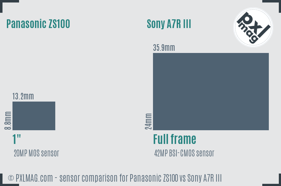 Panasonic ZS100 vs Sony A7R III sensor size comparison Panasonic ZS100 vs Sony A7R III sensor size comparison