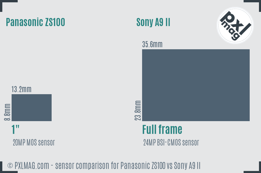 Panasonic ZS100 vs Sony A9 II sensor size comparison