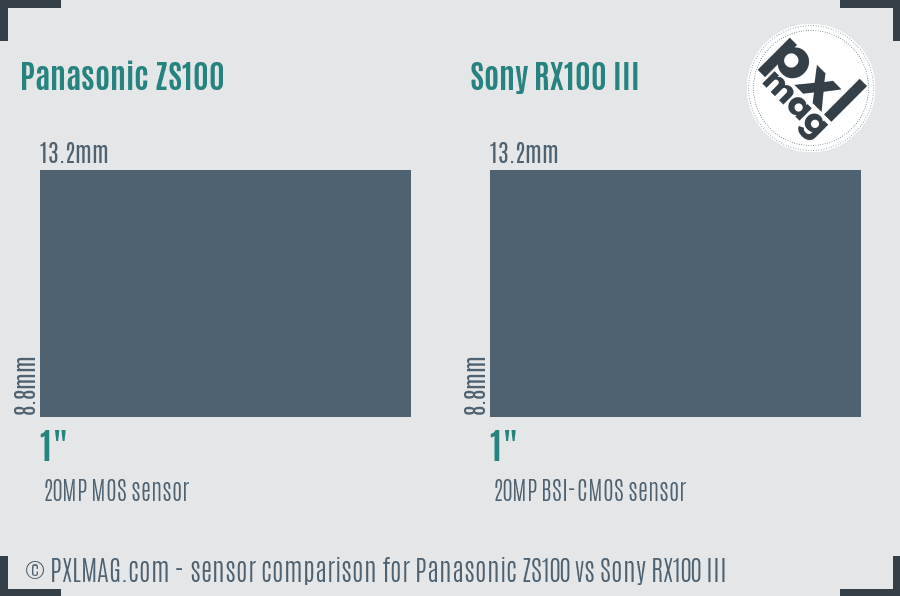 Panasonic ZS100 vs Sony RX100 III sensor size comparison