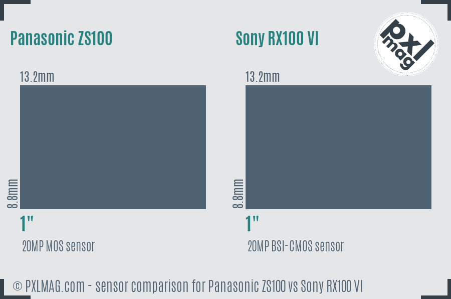 Panasonic ZS100 vs Sony RX100 VI sensor size comparison