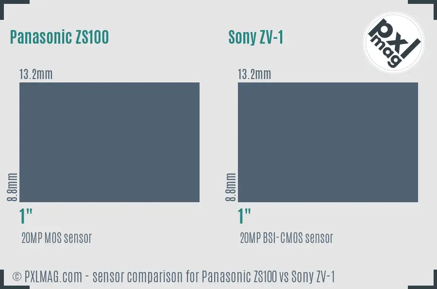 Panasonic ZS100 vs Sony ZV-1 sensor size comparison
