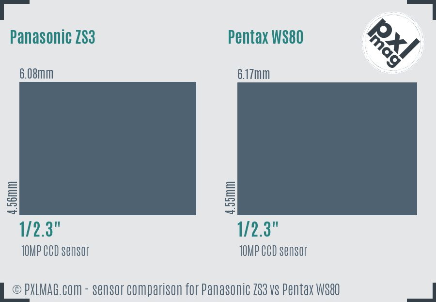 Panasonic ZS3 vs Pentax WS80 sensor size comparison