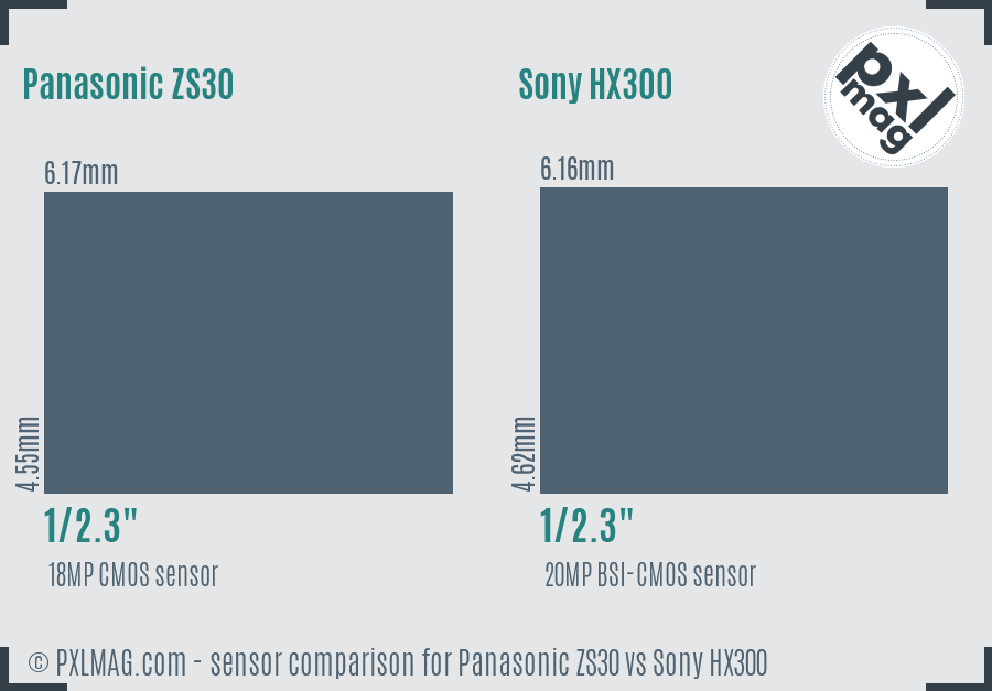Panasonic ZS30 vs Sony HX300 sensor size comparison