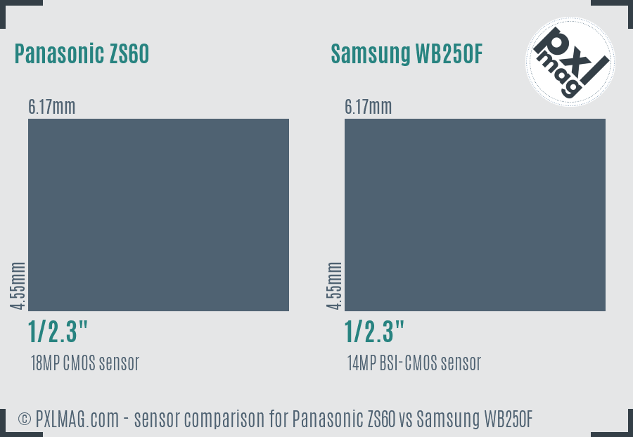 Panasonic ZS60 vs Samsung WB250F sensor size comparison