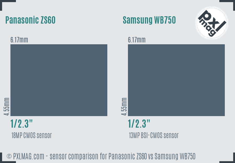 Panasonic ZS60 vs Samsung WB750 sensor size comparison