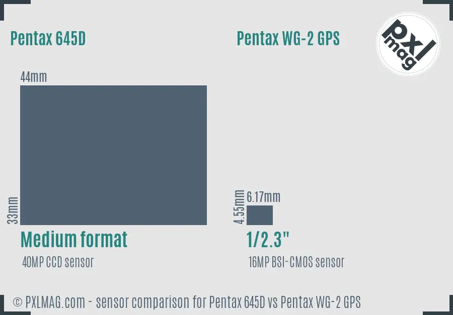 Pentax 645D vs Pentax WG-2 GPS sensor size comparison